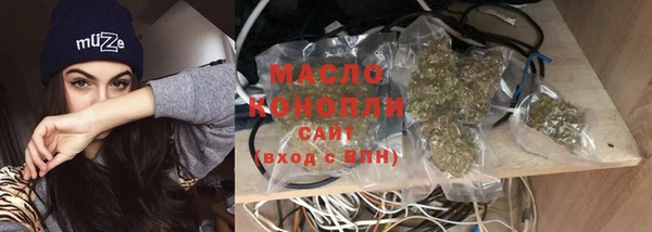 сатива Кинешма