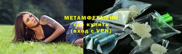 сатива Кинешма