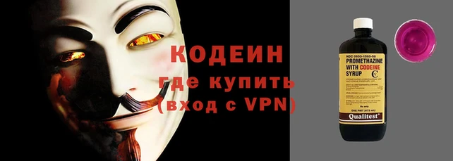 сатива Кинешма