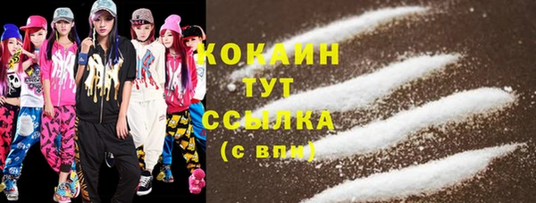 сатива Кинешма
