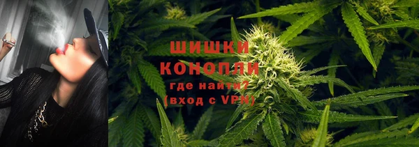 ешки Козельск