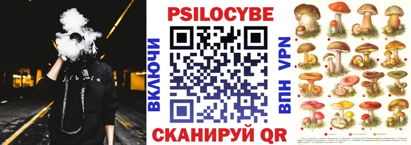 Псилоцибиновые грибы прущие грибы  закладка  Армавир 