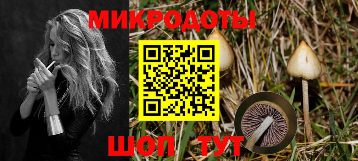 Армавир  Галлюциногенные грибы Psilocybine cubensis  Вход с VPN 